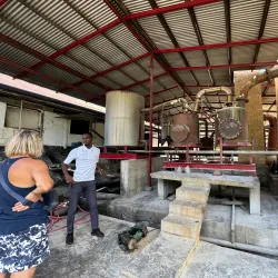 River Antoine Rum Distillery - Saint George's
