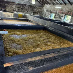 River Antoine Rum Distillery - Saint George's