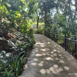 Annandale Falls - Sauteurs