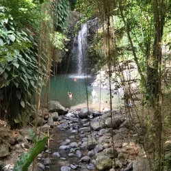 Annandale Falls - Sauteurs