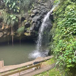 Annandale Falls - Sauteurs