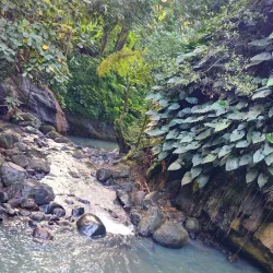 Annandale Falls - Sauteurs