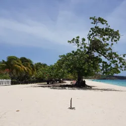 Grand Anse Beach - Sauteurs