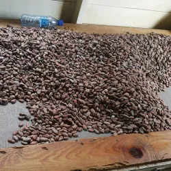 Grenada Chocolate Company - Sauteurs