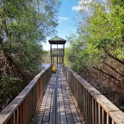 Levera National Park - Sauteurs