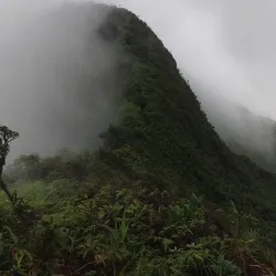 Mount Saint Catherine - Sauteurs