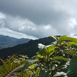 Mount Saint Catherine - Sauteurs