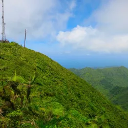 Mount Saint Catherine - Sauteurs