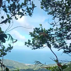 Mount Saint Catherine - Sauteurs