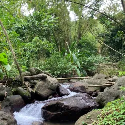 Mount Saint Catherine - Sauteurs