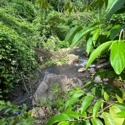 Mount Saint Catherine - Sauteurs