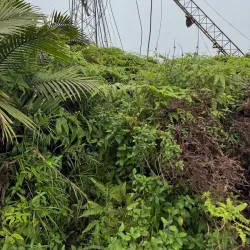 Mount Saint Catherine - Sauteurs