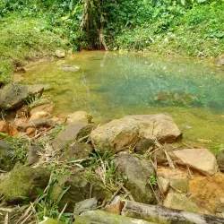 Clabony Falls - Victoria