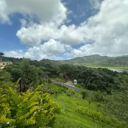 Grand Etang National Park and Forest Reserve - Victoria