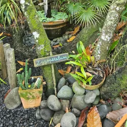 La Maison du Cacao - Baie Mahault