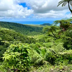 Parc National de la Guadeloupe (nearby) - Baie Mahault