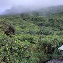 Parc National de la Guadeloupe (nearby) - Baie Mahault