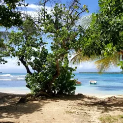 Plage de Petit-Havre - Baie Mahault