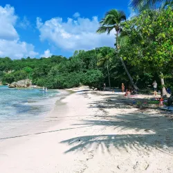 Plage de Petit-Havre - Baie Mahault
