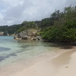 Plage de Petit-Havre - Baie Mahault