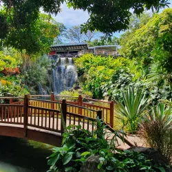 Botanical Garden of Deshaies - Basse-Terre