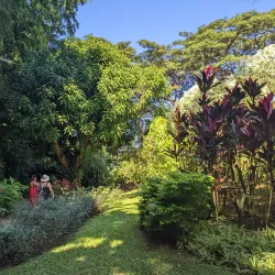 Botanical Garden of Deshaies - Basse-Terre