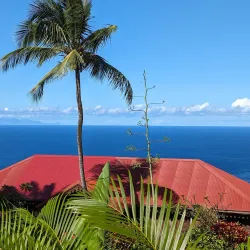 Botanical Garden of Deshaies - Basse-Terre