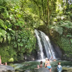 Cascade aux Écrevisses - Basse-Terre