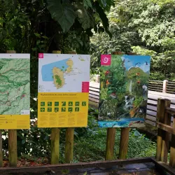 Cascade aux Écrevisses - Basse-Terre