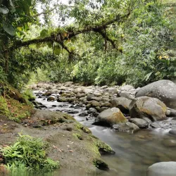 Cascade aux Écrevisses - Basse-Terre