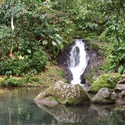 Cascade aux Écrevisses - Basse-Terre
