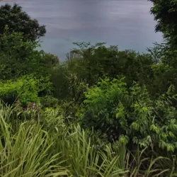 Cousteau Reserve - Basse-Terre