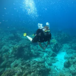 Cousteau Reserve - Basse-Terre