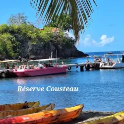 Cousteau Reserve - Basse-Terre