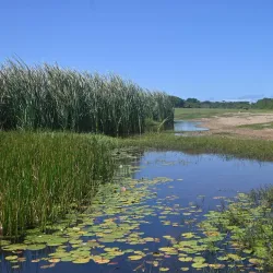 Guadeloupe National Park - Basse-Terre