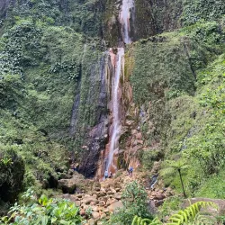 Guadeloupe National Park - Basse-Terre