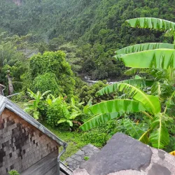Habitation La Grivelière - Basse-Terre