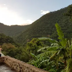 Habitation La Grivelière - Basse-Terre