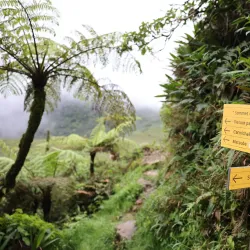 La Soufrière Volcano - Basse-Terre