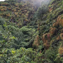 La Soufrière Volcano - Basse-Terre