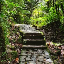La Soufrière Volcano - Basse-Terre