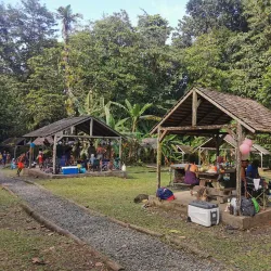 Cascade aux Écrevisses (Crayfish Waterfall) - Bouillante