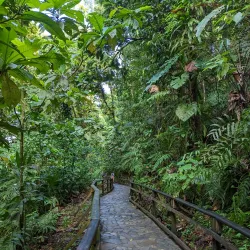 Cascade aux Écrevisses (Crayfish Waterfall) - Bouillante