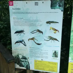 Cascade aux Écrevisses (Crayfish Waterfall) - Bouillante