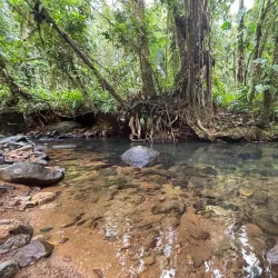 Guadeloupe National Park - Bouillante