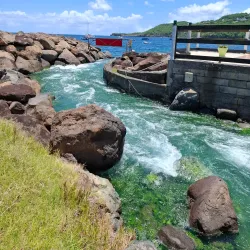 Les Bains Chauds de Bouillante (Hot Springs) - Bouillante