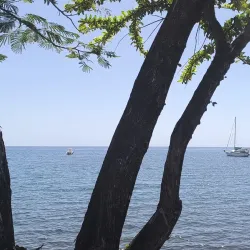 Les Bains Chauds de Bouillante (Hot Springs) - Bouillante