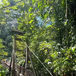 Maison de la Forêt (Forest House) - Bouillante