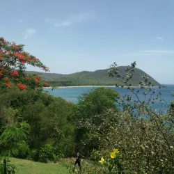 Plage de Grande Anse - Bouillante