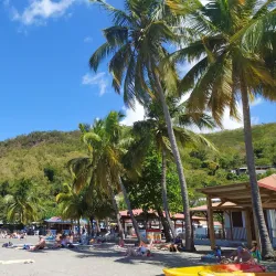 Plage de Malendure - Bouillante